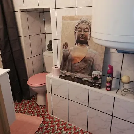41 Rue De La Roche Auzat-la-Combelle